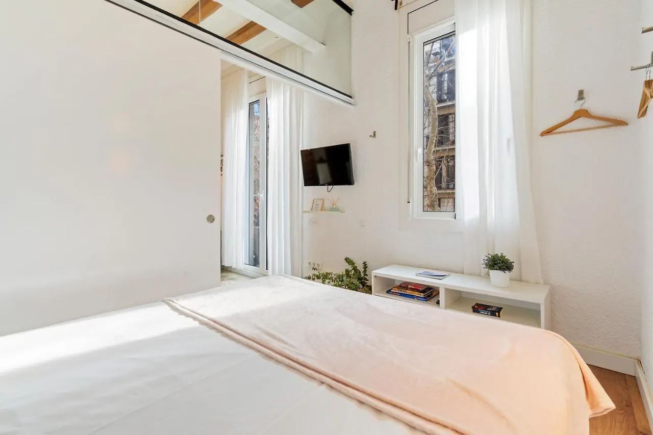 Appartamento Flateli Borrell Barcellona Spagna