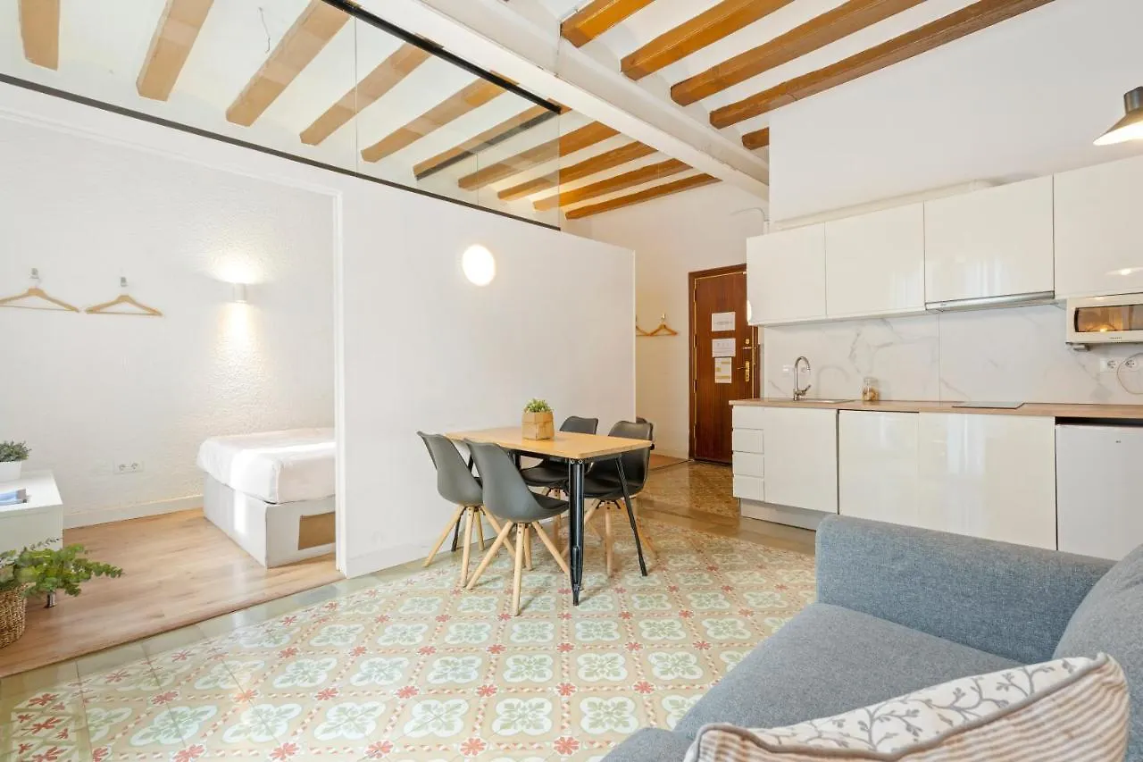 Appartamento Flateli Borrell Barcellona Spagna