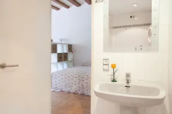 Appartamento Flateli Borrell Barcellona