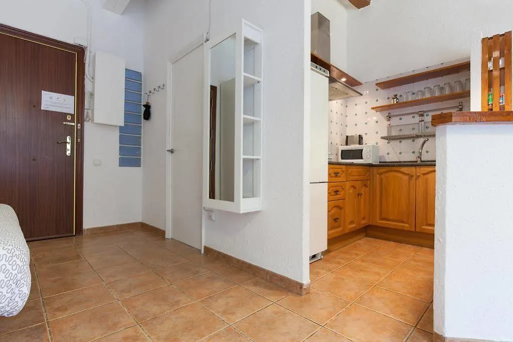 Appartamento Flateli Borrell Barcellona 0*,